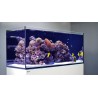  Reefer™ XXL 750 Noir (Aqua + mbl) + 344.90€ en bon d'achats coraux,poissons