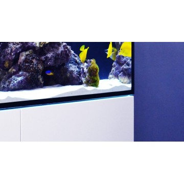  Reefer™ XXL 750 Blanc (Aqua + mbl) + 354.90€ en bon d'achats coraux,poissons