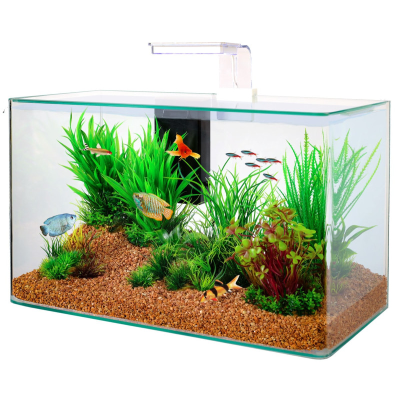 Zolux aquarium kit Aqua Clear 40 (400 x 200 x 330 mm) 17 litres 83,...