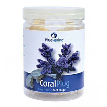 Blue marine Coral Plug 24pcs 13,99 €