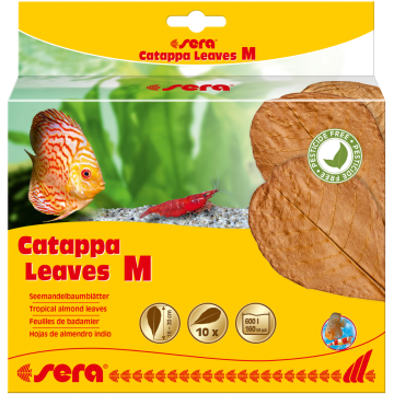 Sera Catappa Leaves M 16 – 20 cm