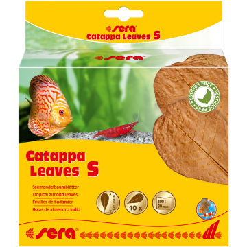 Sera Catappa Leaves S 10 – 15 cm (10 pces)