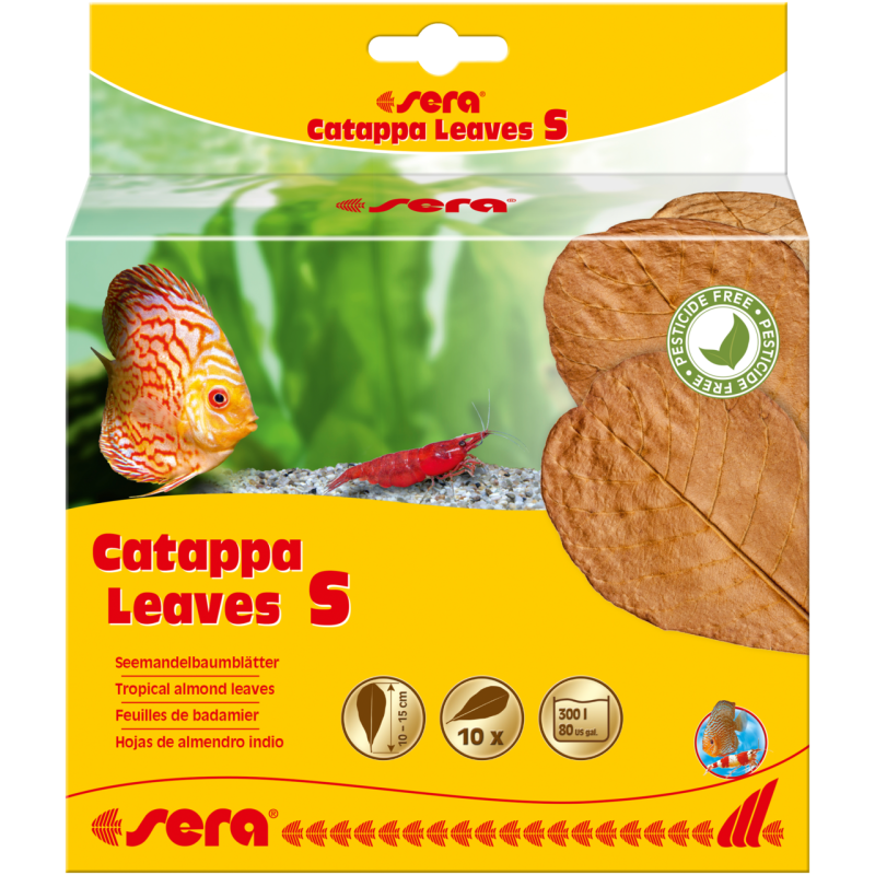 Sera Catappa Leaves S 10 – 15 cm (10 pces)