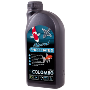 Colombo Phosphate X 1000ml pour 10.000 litres 19,99 €