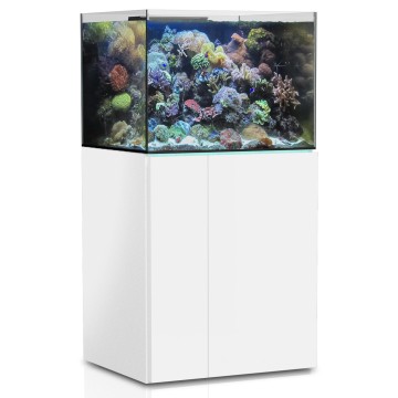 Aqua Medic Armatus 500 XD blanc complet avec système de filtration + 144.90€ en bon d'achats coraux,poissons.