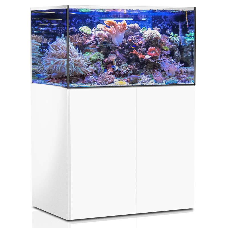 Aqua Medic Armatus 375 XD blanc complet avec système de filtration + 114.90€ en bon d'achats coraux,poissons.