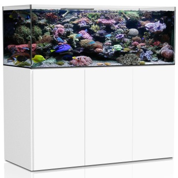 AquaMedic Armatus 575 XD blanc complet avec système de filtration +...