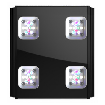 GHL Mitras LX 7X06 marin 6 LED-Cluster, 9 canaux disponible en noir...