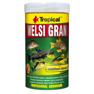 Tropical WELSI GRAN 100ml 5,20 €