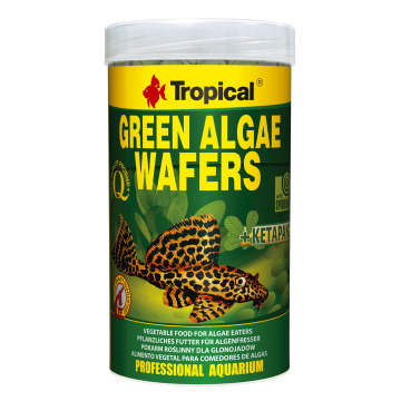 Tropical GREEN ALGAE WAFERS 100ml