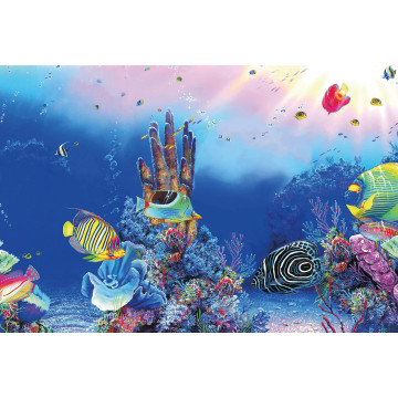 Superfish deco Poster F5 120x61cm 7,92 €