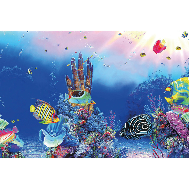 Superfish deco Poster F5 120x61cm 7,92 €