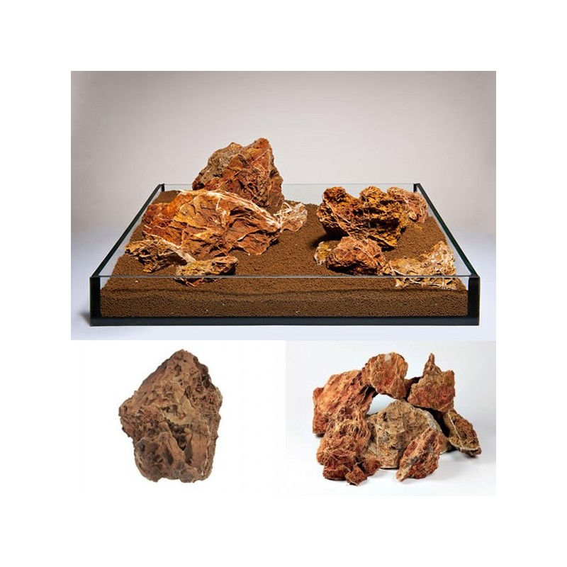 Pierre Mapple Leaf rock (S049) le Kg 2,95 €