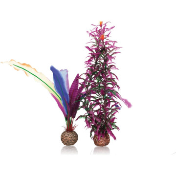 biOrb Plumes de Perroquet S 17,45 €