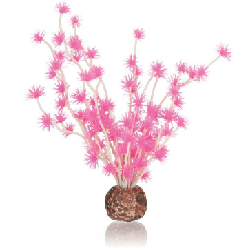 biOrb Boule Bonsai rose