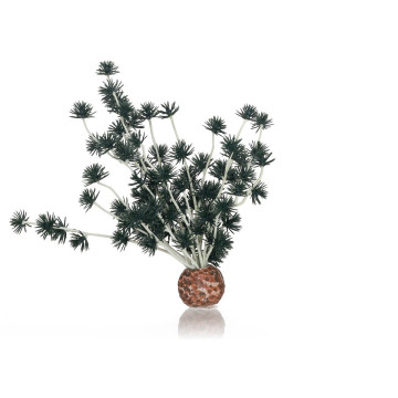 biOrb Boule Bonsai noir 13,95 €