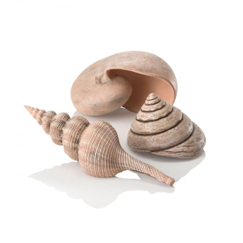 biOrb Coquillages naturels 18,45 €