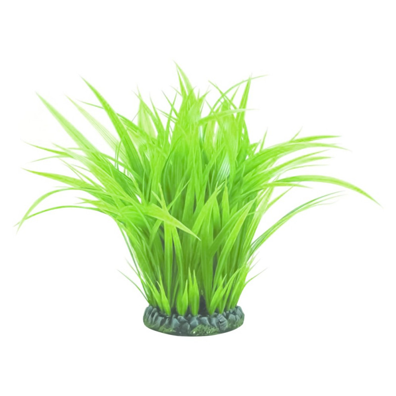 biOrb Anneau d'herbe M verte 26,95 €