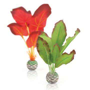 biOrb Set plantes S vertes & rouges