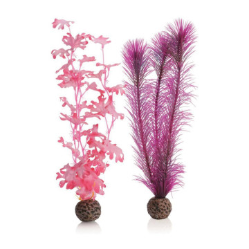 biOrb Set de plantes M roses 23,95 €