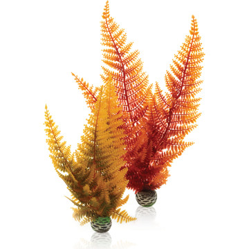 biOrb Set de plantes couleurs d'automne 11,95 €