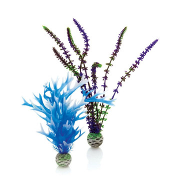 biOrb Set de plantes M bleues&violettes