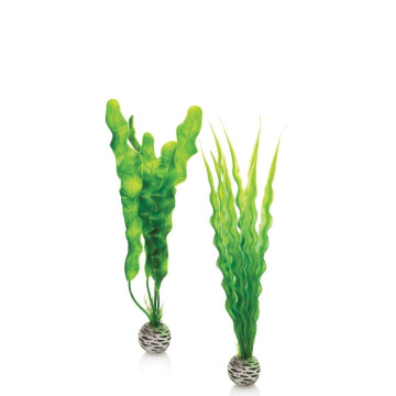 biOrb Set de plantes M vertes