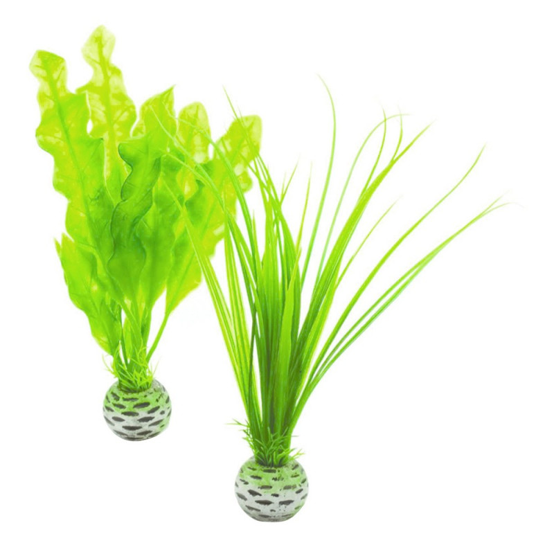 biOrb Set de plantes S vertes 8,75 €