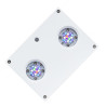 Hydra 32HD rampe LED blanche 439,00 €