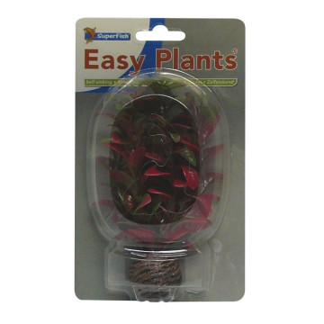 Superfish easy plant petite 13 cm nr. 7 3,96 €