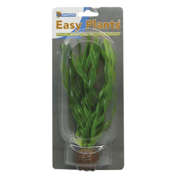 Superfish easy plant moyenne 20 cm nr. 1 5,94 €