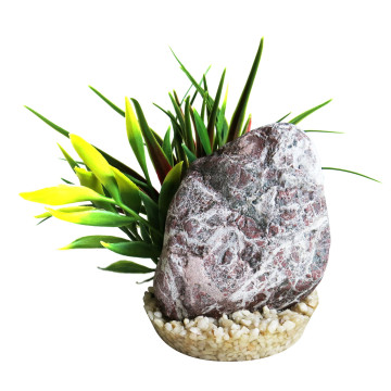 Sydeco® Zebra Stone Grass H : 14 cm 4,05 €