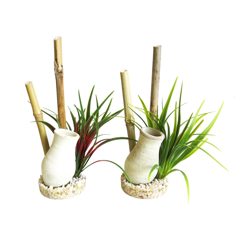 Sydeco® Japanese Garden H : 22 cm lot de 2 plantes 7,70 €