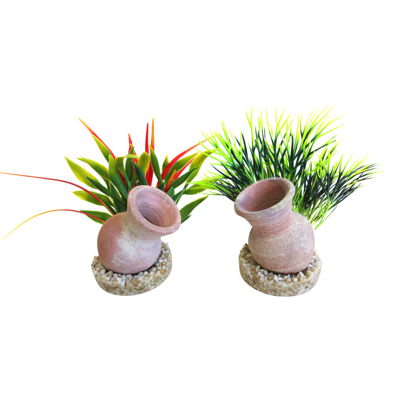 Sydeco® Mini Jar Plants H : 12 cm lot de 2 plantes 6,25 €