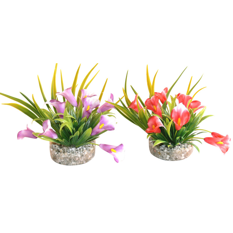 Sydeco Cala Lily H 9 cm  3,90 €