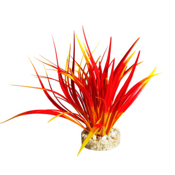 Sydeco® Coral Reef H 8 cm 2,76 €