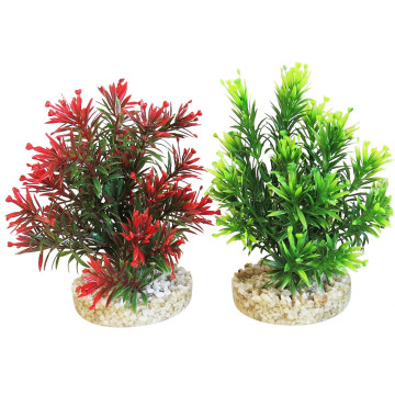 Sydeco® Jungle Small H 15 cm lot de 2 plantes 7,70 €