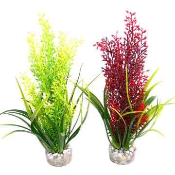 Sydeco® Tropica H 20 cm lot de 2 plantes 6,20 €