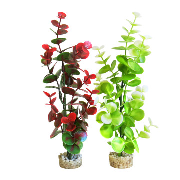 Sydeco® Water Eucalyptus H 22 cm lot de 2 plantes 6,20 €