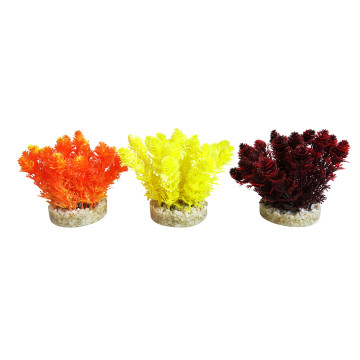 Sydeco® Nano Bush Colored H 9 cm lot de 3 plantes 13,70 €