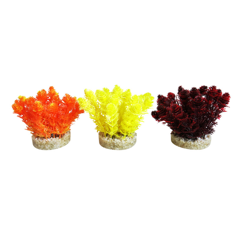 Sydeco® Nano Bush Colored H 9 cm lot de 3 plantes 13,70 €