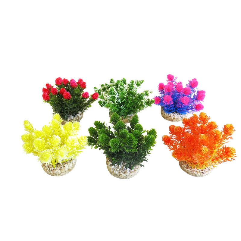 Sydeco® Nano Grass Bush H 9 cm lot de 6 plantes 27,60 €