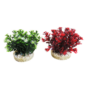 Sydeco® Nano Flowering Bush H 10 cm lot de 2 plantes 7,70 €