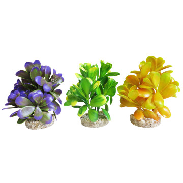 Sydeco® Pebble Plants H 12 cm lot de 3 plantes 13,80 €