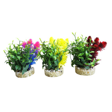 Sydeco Magic Nano Garden H 10 cm 4,40 €