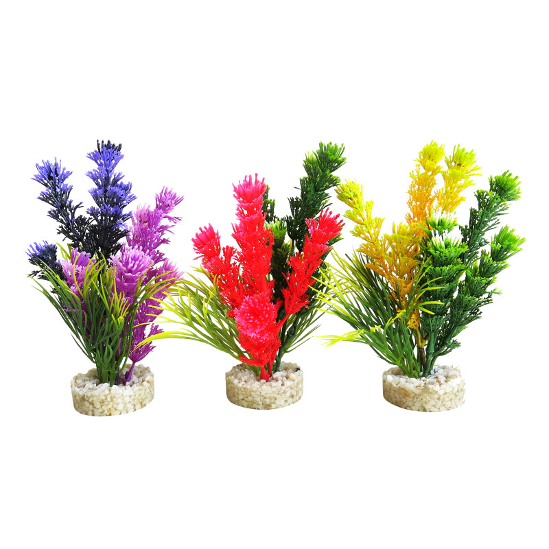 Sydeco® Magic Fiesta Colours H 13 cm lot de 3 plantes 13,80 €