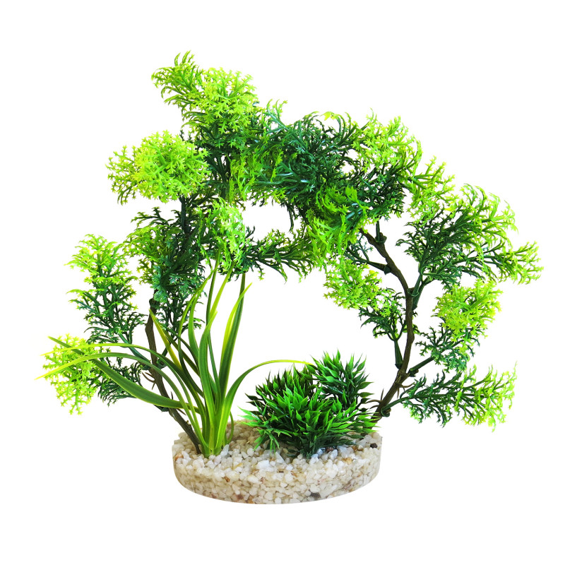 Sydeco® Arch Plants H 21 cm 4,42 €