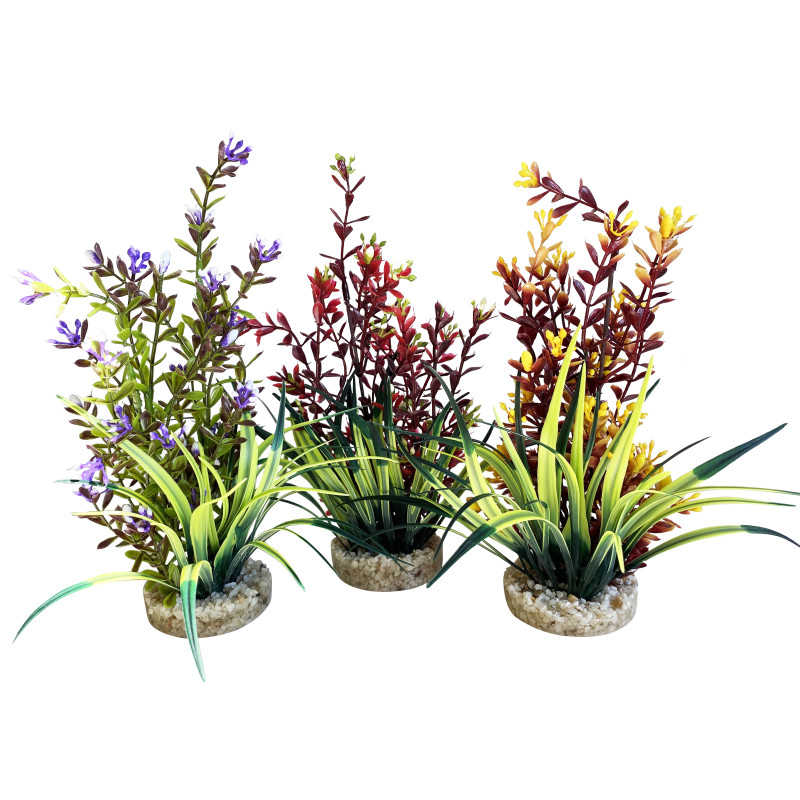 Sydeco® Flowering Plants H 24 cm lot de 3 plantes 25,99 €