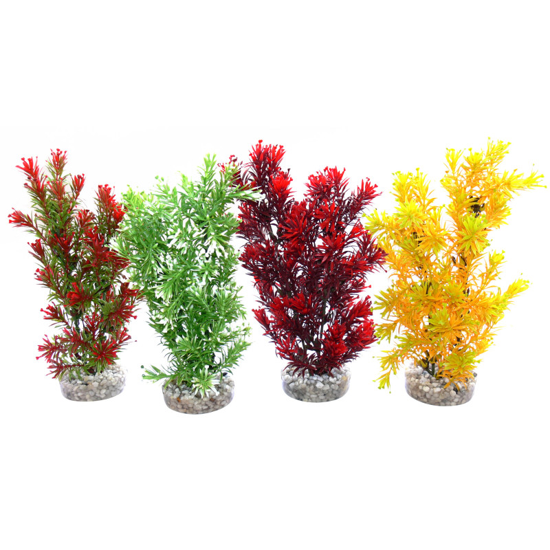 Sydeco® Jungle Medium H 28 cm lot de 4 plantes 25,75 €