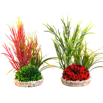 Sydeco® Islet Plant H 20 cm lot de 2 plantes 14,15 €